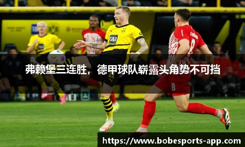 BOB电竞平台