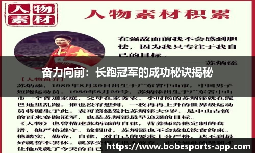 BOB电竞平台